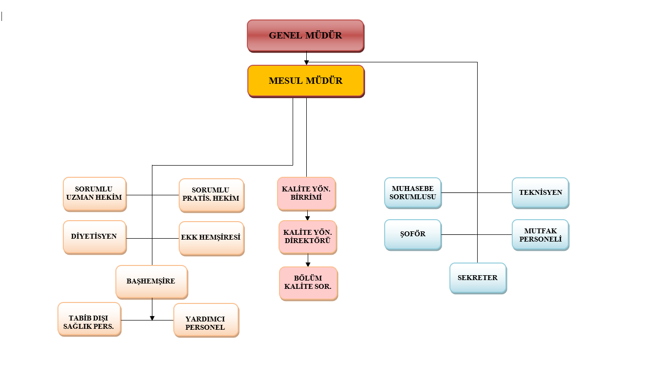 ORGANİZASYON ŞEMASI